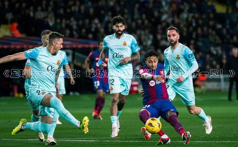 Vsport体育平台百度数据开放平台《足球运动员陈源：球场功勋与荣誉！详细简历一览！》