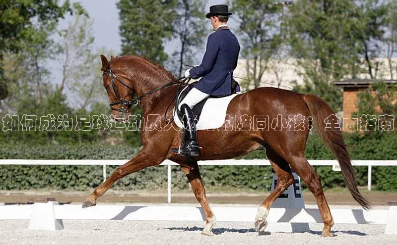 vsport体育下载百度手机助手如何成为足球运动员入场时的陪同小孩：全面指南