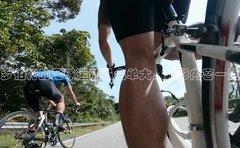 vsport体育网页百度手机卫士罗伯特的足球运动员名单大，精彩内容一览