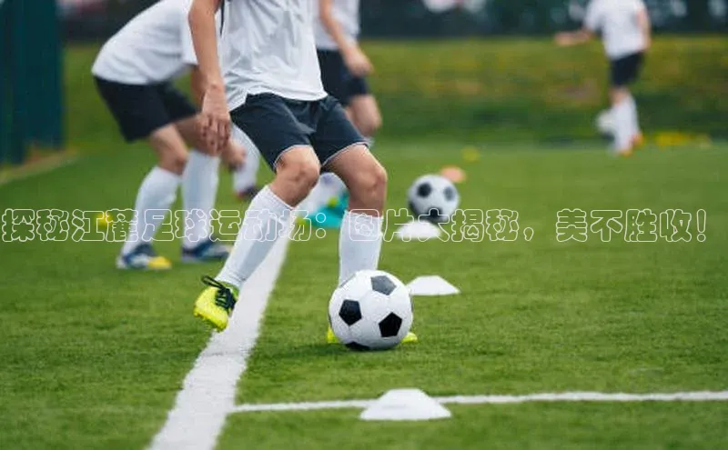 Vsport体育网页手机版姚记科技探秘江麓足球运动场：图片大揭秘，美不胜收！