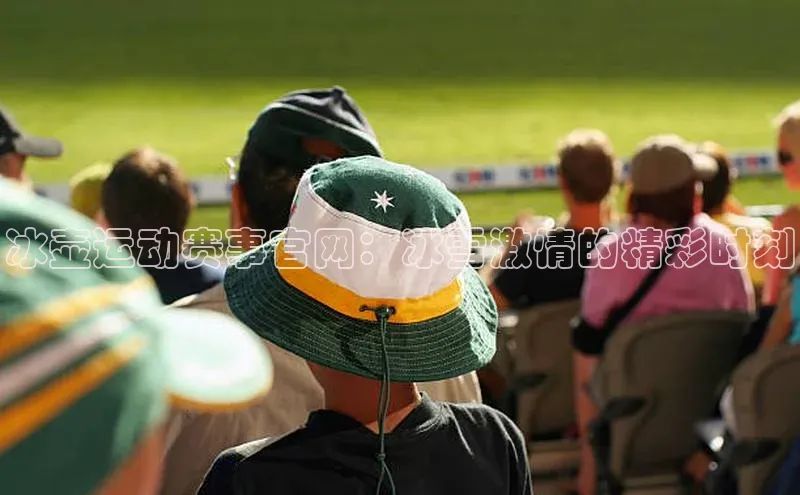 冰壶运动赛事官网：冰雪激情的精彩时刻