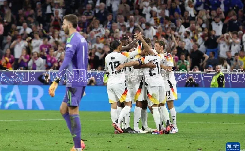 未知：小众职业体育赛事的魅力与挑战