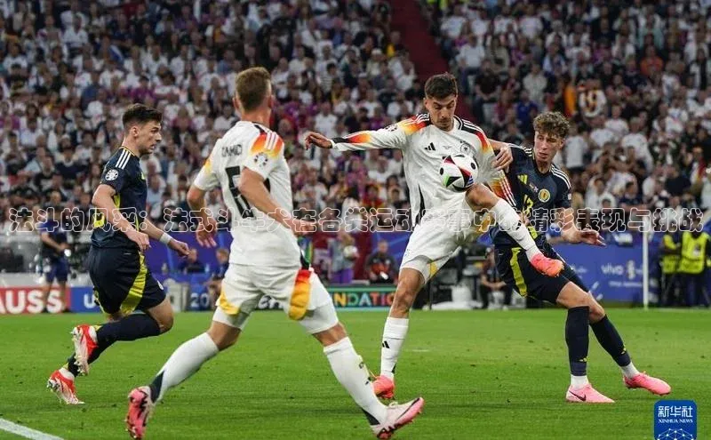 法斗的风采：法式斗牛犬在各类运动赛事中的精彩表现与挑战