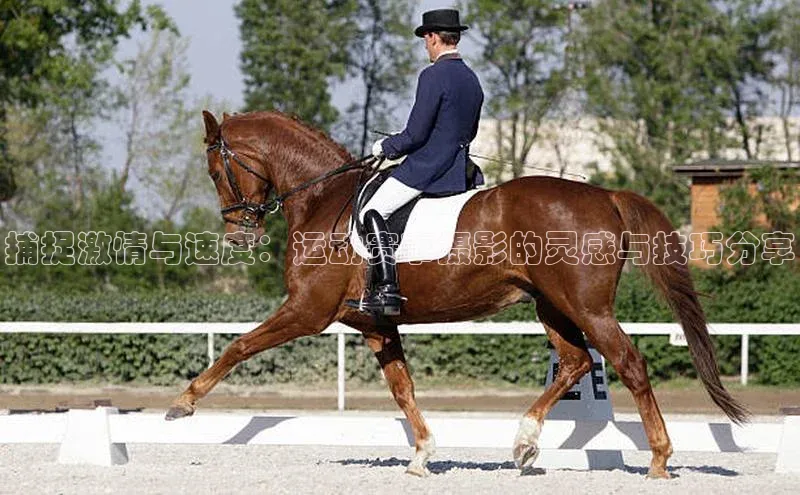 捕捉激情与速度：运动赛事摄影的灵感与技巧分享