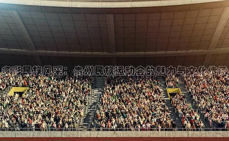 多彩民族风采：贵州民族运动会的魅力与文化传承