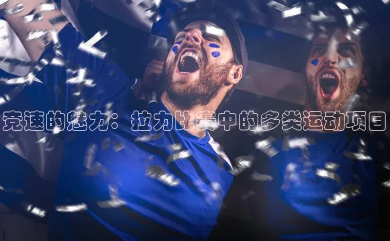 竞速的魅力：拉力比赛中的多类运动项目