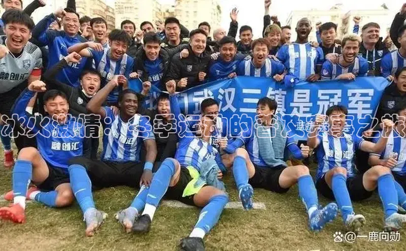 冰火激情：冬季运动的普及赛事之旅