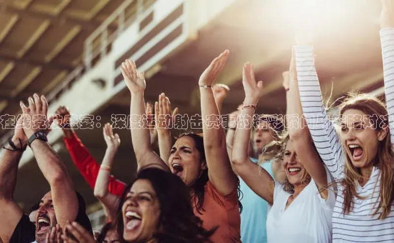 vsports - 胜利因您更精彩 含义