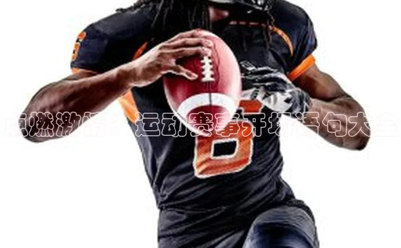 Vsport体育官方网站入口