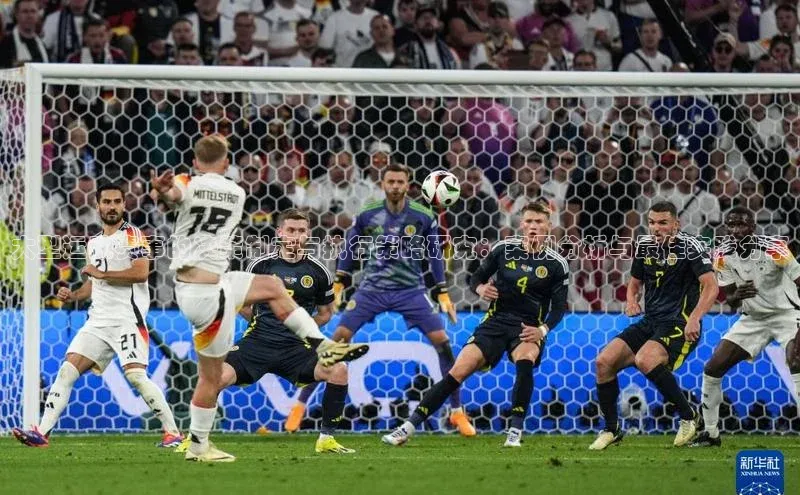 vsport胜利因您而精彩