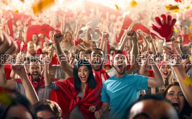 vsport体育在线官网