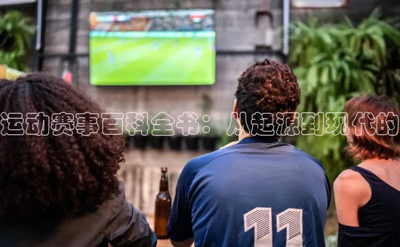 vsports - 胜利因您更精彩 含义